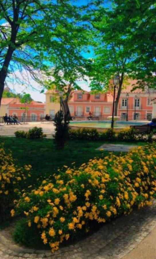 Apartamento Com Boa Localizacao E Conforto بوفوا دي سانتا إيريا المظهر الخارجي الصورة